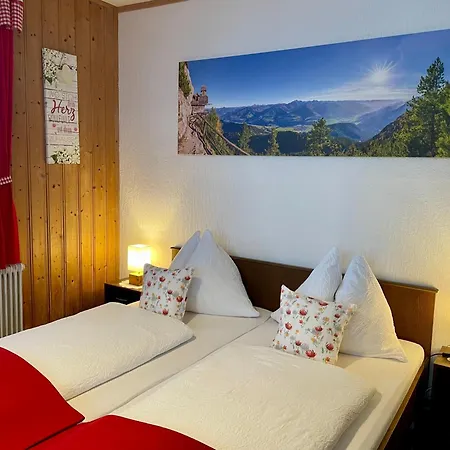 فندق مبيت وإفطار Haus Bodenwinkler 3*