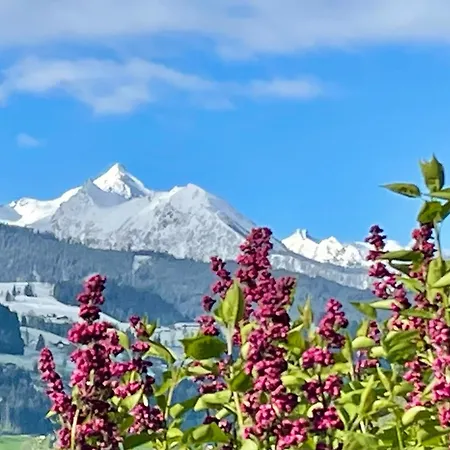 Haus Bodenwinkler Oda ve Kahvaltı 3*