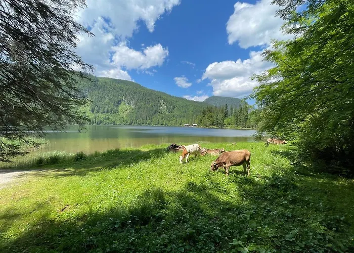 Haus Bodenwinkler 3* Grobming