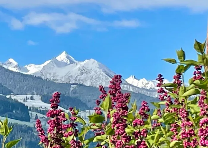 Haus Bodenwinkler Bed & Breakfast 3*