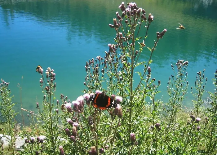 Haus Bodenwinkler Bed & Breakfast