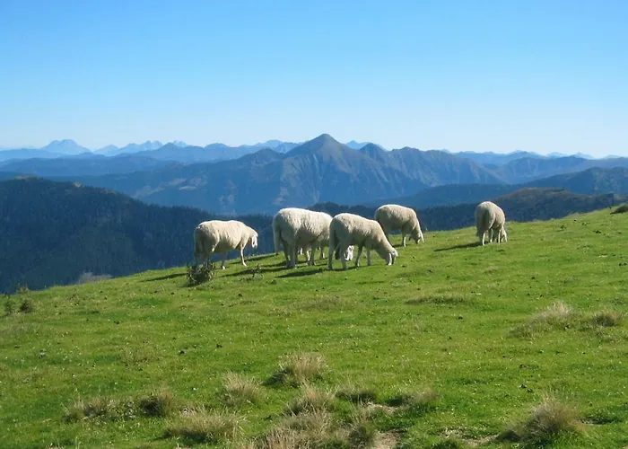 Bed & Breakfast Haus Bodenwinkler